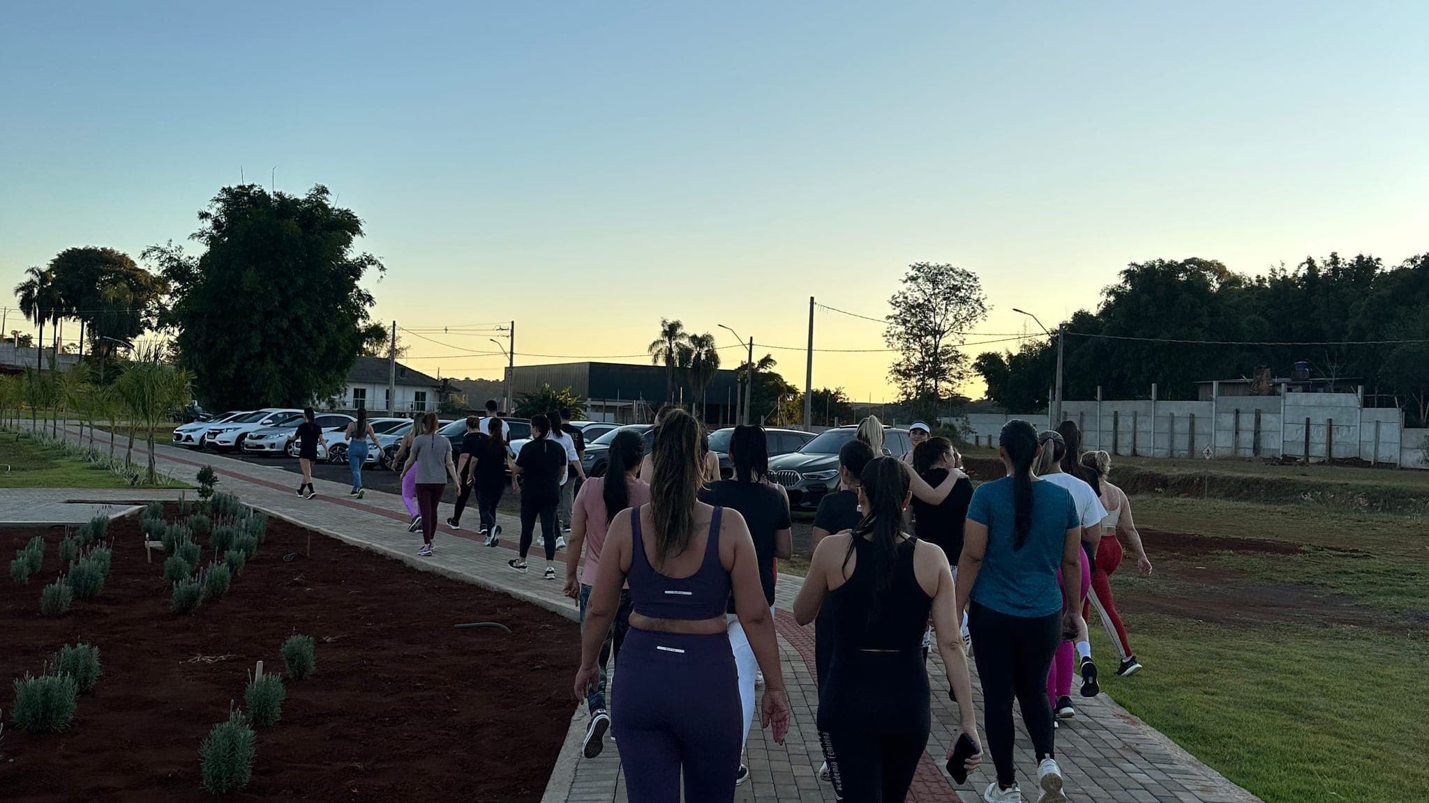 Voltando pela pista